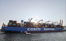 Quốc gia trong danh sách 'thân thiện' của Iran đón tin không vui: 2 tàu chở hàng phải quay đầu tại eo biển Hormuz