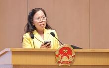 Doanh nghiệp dệt may 30 năm tuổi gây bất ngờ: Trồng tía tô bán 700 đồng/lá, vải không hạt 400.000 đồng/kg