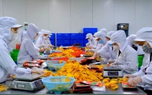 Xung đột Trung Đông: Cú sốc dây chuyền tới xuất khẩu nông sản Việt