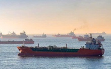 Triển khai các giải pháp đối với 19 tàu Việt Nam tại Trung Đông