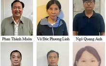 Chủ tịch một công ty khoáng sản 'vung' tiền hối lộ để tổ chức khai thác trái phép Titan trị giá 1.508 tỷ đồng