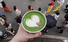 Hàng matcha đắt nhất nhì Việt Nam cân từng viên đá khi pha chế, tháng nào cũng có chuyên gia về kiểm tra