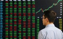 Chuyên gia chỉ tên nhóm cổ phiếu có thể "dẫn sóng" khi VN-Index xác nhận đáy