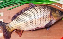 Chợ Việt bán 6 loại cá rẻ tốt cho tim mạch, đủ sức "chung mâm" với cá hồi siêu thị