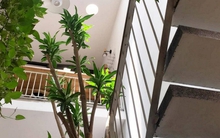 Ông bà dặn: Nhà có 4 dấu hiệu này đừng bao giờ bán, càng ở càng giàu, con cháu tha hồ hưởng lợi