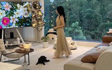 Tôi từng mê “phòng khách rộng” khi mua nhà - đến lúc dọn vào ở mới nhận ra 6 rắc rối không ai nói trước