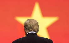 Báo quốc tế: Nhiều quốc gia đang "chăm chú" nhìn Việt Nam giành được cơ hội chưa từng có