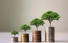 Loạt doanh nghiệp chốt quyền trả cổ tức trong tuần từ ngày 30/3-3/4