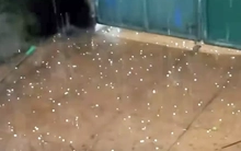 Hà Nội xuất hiện mưa đá