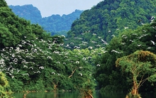 Từ 1/4, không chỉ Hang Múa mà 1 địa điểm nổi tiếng ở Ninh Bình đồng loạt tăng giá