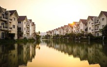 Một công ty địa ốc lãi 8,8 tỷ đồng