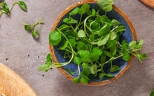 Loại rau "tốt nhất thế giới", giàu chất chống oxy, giảm cholesterol xấu được chuyên gia dinh dưỡng công nhận