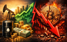 Chỉ 4 loại tài sản tăng giá từ đầu năm, Bitcoin dẫn đầu chiều giảm