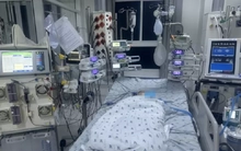 Cảnh báo: Virus mới khiến trẻ mắc tay chân miệng chuyển nặng, tử vong rất nhanh