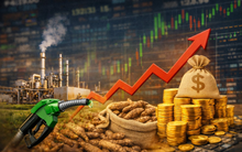 Doanh nghiệp sản xuất Ethanol trên sàn: Cổ phiếu tăng vọt 30% từ đầu năm, cổ tức tiền mặt “đều như vắt tranh”