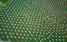 Đôi Dép - Khi con đường không có đèn đỏ