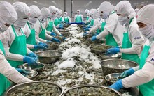 Doanh nghiệp xuất khẩu thủy sản ứng phó với căng thẳng tại Trung Đông