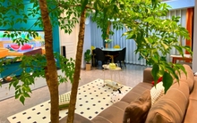 Không phải ngẫu nhiên mà 9/10 nhà khá giả đều đặt thứ này ở phòng khách: Vừa đẹp sang, vừa mang vượng khí cho gia đình