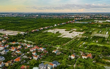 Siêu dự án 1,5 tỷ USD của Kinh Bắc và Tập đoàn Trump tại tỉnh nhỏ nhất Việt Nam có chuyển động mới