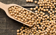 Loại hạt được mệnh danh là "thịt bò thượng hạng" của giới thực vật, có tác dụng ổn định đường huyết, bảo vệ mạch máu, cả gia đình đều có thể thưởng thức!