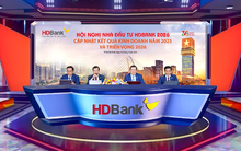 HDBank dự kiến lợi nhuận vượt mốc tỷ USD, sẽ IPO công ty chứng khoán trong năm nay