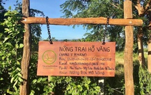 Xác minh hoạt động tôn giáo tại ‘nông trại Hồ Vàng’ sau vụ ông Thích Nhuận Đạt