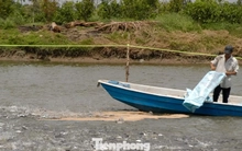 Giá cá tra tăng kỷ lục, vì sao người nuôi vẫn 'treo ao'?