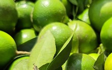 Nghe tên loại quả này thấy cả "bầu trời giàu sang": 4 mùa đều ra hoa kết trái, nhà nào trồng được thì lộc to