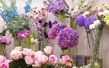 Thị trường hoa 8/3: Giá tăng, khách chọn bó hoa vừa túi tiền