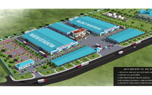 Giám đốc Tài chính Tập đoàn Tiên Sơn Thanh Hóa bị xử phạt vì thao túng cổ phiếu AAT