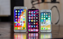 Thông báo khẩn cho hàng triệu người dùng iPhone