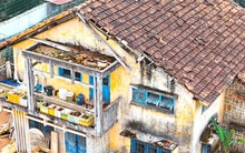 Cận cảnh biệt thự, khu nhà đất 'vàng' bỏ hoang, lãng phí ở Ðà Lạt