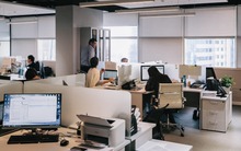 Tưởng AI sẽ thay lao động phổ thông trước, nhưng dữ liệu mới lại chỉ sang một nhóm nghề khác