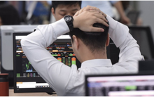 Kịch bản nào cho thị trường chứng khoán Việt Nam sau phiên bán tháo kỷ lục?