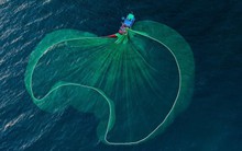 Loạt dự báo bất ngờ về thị trường chứng khoán sau phiên giảm điểm kỷ lục