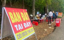 Đầu cơ gặp khó, nhà đầu tư nên “tính chuyện đường dài”