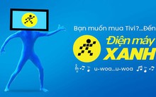 Sau TVC “người xanh” gây sốt, Điện Máy Xanh "chơi lớn" chi 1 triệu USD nhờ cộng đồng mạng tìm ý tưởng mới