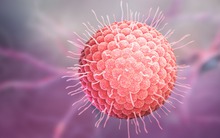 78% người lớn có một số bệnh lý mạn tính lo ngại zona gây gián đoạn cuộc sống