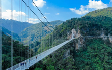 Việt Nam sở hữu cây cầu kính dài nhất hành tinh, vượt Trung Quốc để lập kỷ lục toàn cầu
