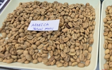 Giá cà phê hôm nay 11-4: Arabica bật tăng, Việt Nam vượt Brazil về xuất khẩu