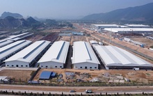 Nghệ An bứt phá 26 bậc, lọt top 3 thu hút FDI cả nước