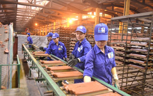 Doanh nghiệp đầu tiên báo lỗ trong quý 1/2026: Lỗ 15 quý liên tiếp, âm vốn chủ sở hữu