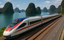Khởi công tuyến đường sắt tốc độ cao Hà Nội - Quảng Ninh trị giá hơn 5,6 tỉ USD