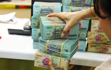 Hơn 20 ngân hàng đồng loạt giảm lãi suất: Agribank, Vietcombank, VietinBank, BIDV và nhiều nhà băng lớn đều nhập cuộc