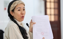 Bị cáo Đinh Lan sắp ra toà phúc thẩm vì loạt video xuyên tạc bà Nguyễn Phương Hằng