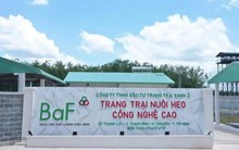 Nông nghiệp BAF hướng đến mức lợi nhuận kỷ lục, chia cổ tức và cổ phiếu thưởng tổng tỷ lệ 20%