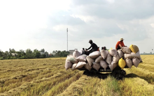 Giá xăng dầu điều chỉnh nhưng nhiều dịch vụ lại không giảm tương ứng