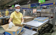 Một công ty sắp chốt ngày trả cổ tức 20% bằng tiền mặt, duy trì mức 40% năm thứ ba liên tiếp