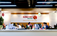 Loạt công ty chứng khoán đón cổ đông lớn mới: Từ cá nhân bí ẩn tới sự đồng hành chiến lược