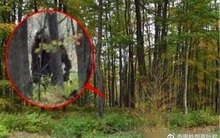 Loài thú lạ “đầu lừa, mình sói”, dài tới 2m bất ngờ tái xuất sau 500.000 năm: Sự thật quá bất ngờ!